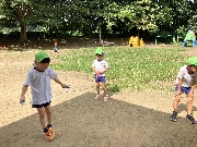 太陽組だより